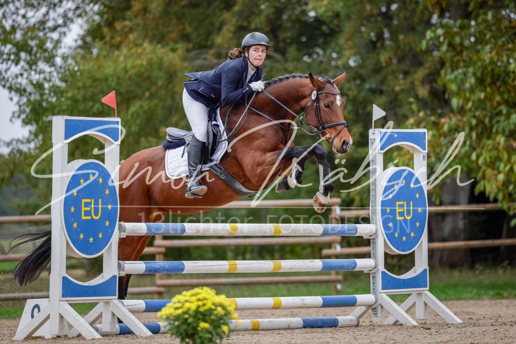 20251012-_3LI4347 | Tierfotografie Pferde, Hunde, Katzen, Haustiere.
Turnierfotografie Reitturniere, Reiten, Springreiten, Dressur in Hanau, dem Main-Kinzig-Kreis und dem Rhein-Main- Gebiet um Frankfurt