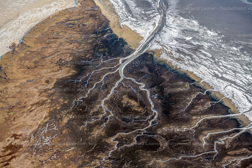 4044369 | winterliche Insellandschaft am Ostende vonSpiekeroog Nationalpark Niedersächschisches Wattenmeer