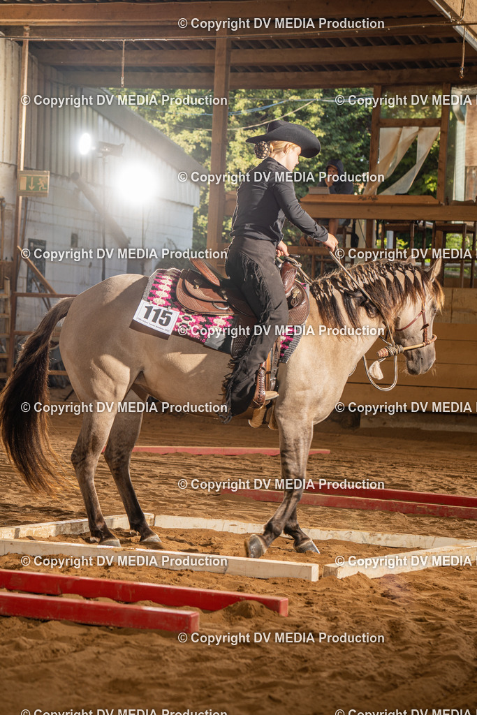 NID02511 | dv-media-shop - Realisiert mit Pictrs.com