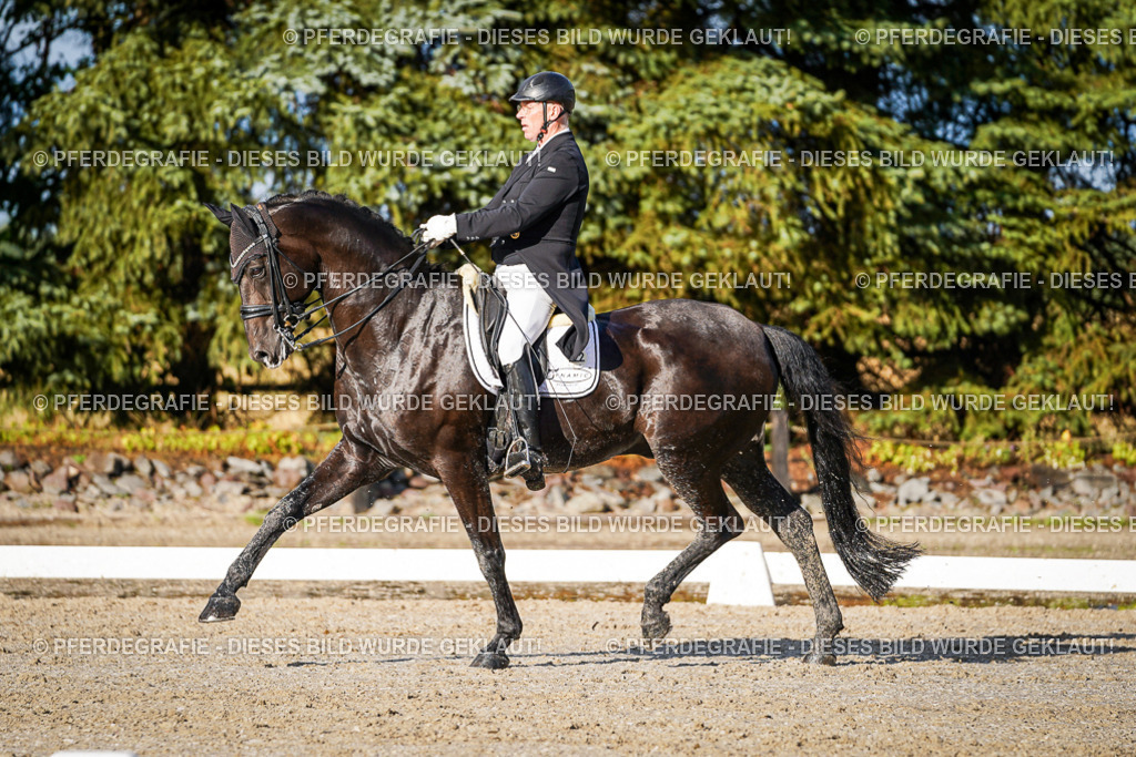 DSC00699 | Pferdegrafie