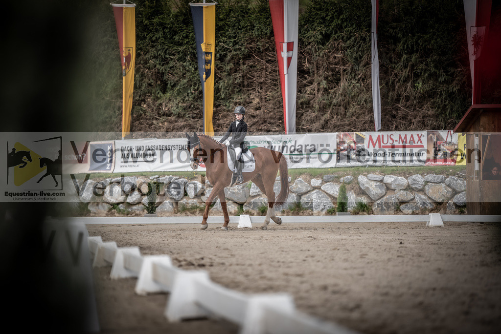 DSC_3208 | equestrian-live-com