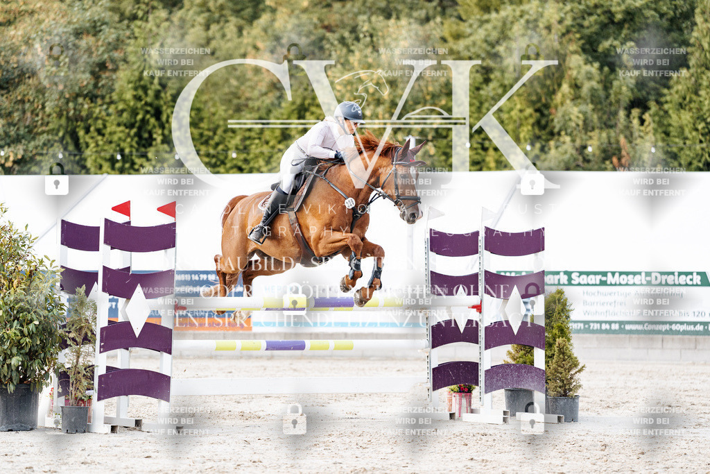 CK903951 | Turnierfotografie Pferdefotografie Trier Rheinland-Pfalz Pferdesport Reitsport Tierfotografie Sportfotografie Pferdevideo Pferdevideografie Equestrianvideography equestrianphotography  - Realisiert mit Pictrs.com