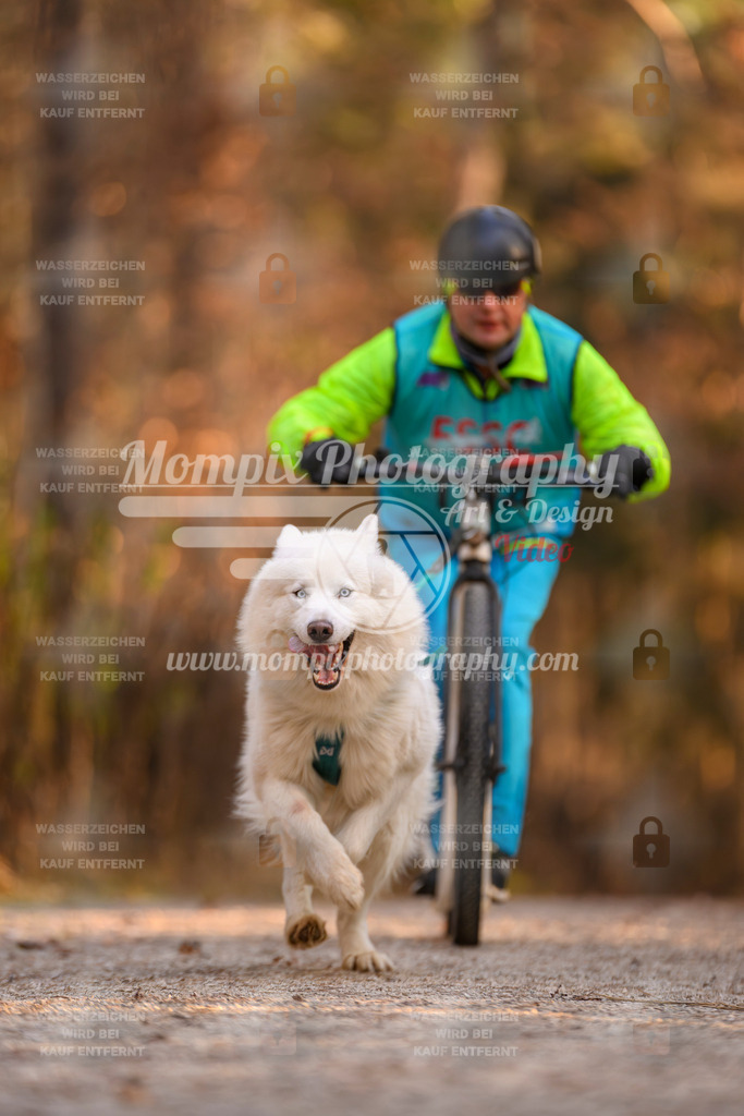 MompixPhotography_DM_AKDM_SO_2025_Scooter-238 | PayLife