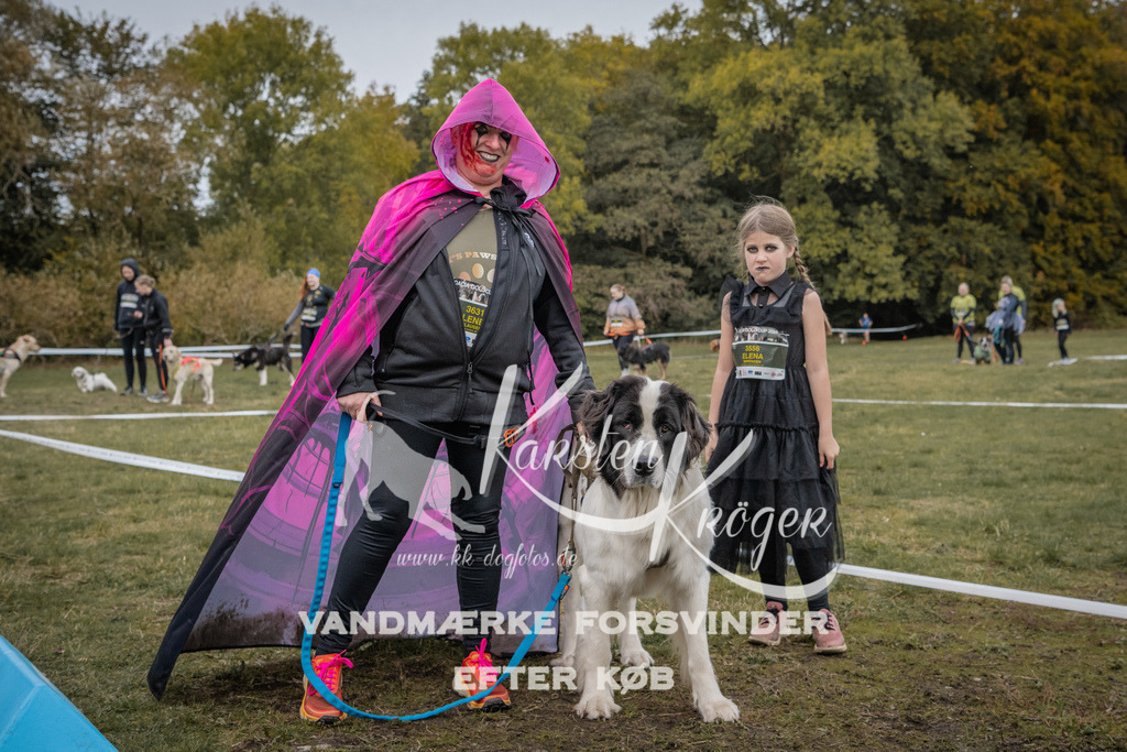 1635_ZZ93931 | kk-dogfotos
