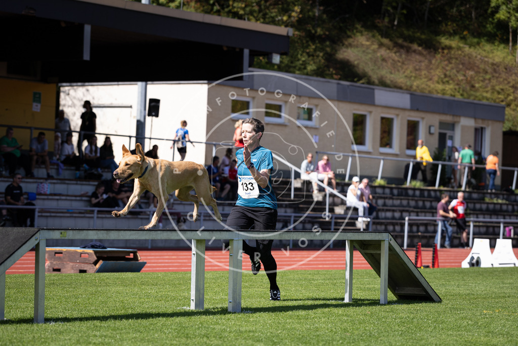 Pfotenfotografie_DV3A8868 | Hundefotografie, Tierfotograf, Pfotenfotografie, Fotoshooting Hund, Hunde Portrait, Hundesport, Hundeportraits, Heideshooting, Hunde, Sportfotograf, Hundefotograf, Turnierhundsport, THS,  - Realisiert mit Pictrs.com
