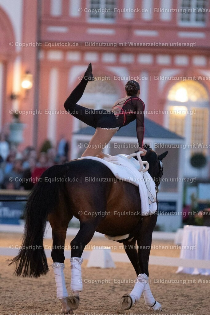 20230527_Voltigieren_NASPA_Flutlicht_0504 | equistock