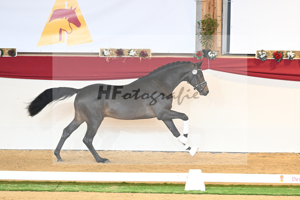 Kat-Nr. 72 Vaderland_Durrer_1230528 | hf-fotografie - Realisiert mit Pictrs.com
