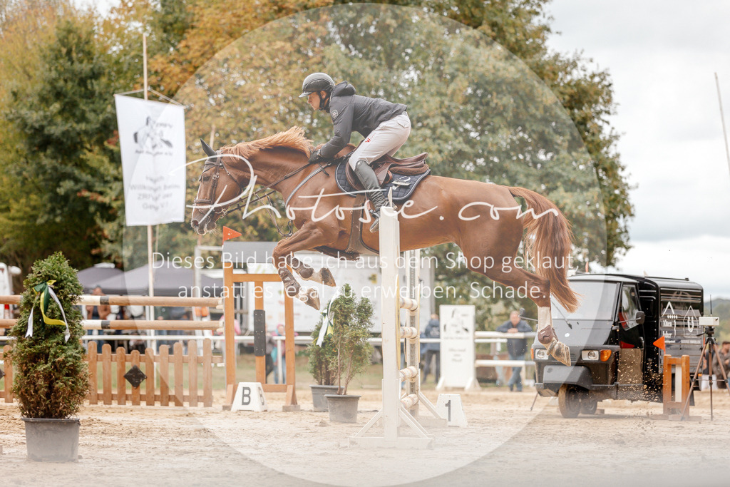 3I6A8700 | Stimmungsvolle Portraits und Reitsportfotografie im Ruhrgebiet und im Münsterland.

Pferdefotografie, Hundefotografie, Tierfotografie, Reportagen, Portraits von Tier und Mensch, Turnierfotografie in Bochum, Recklinghausen, Marl, Haltern am See, Dülmen.. - Realisiert mit Pictrs.com