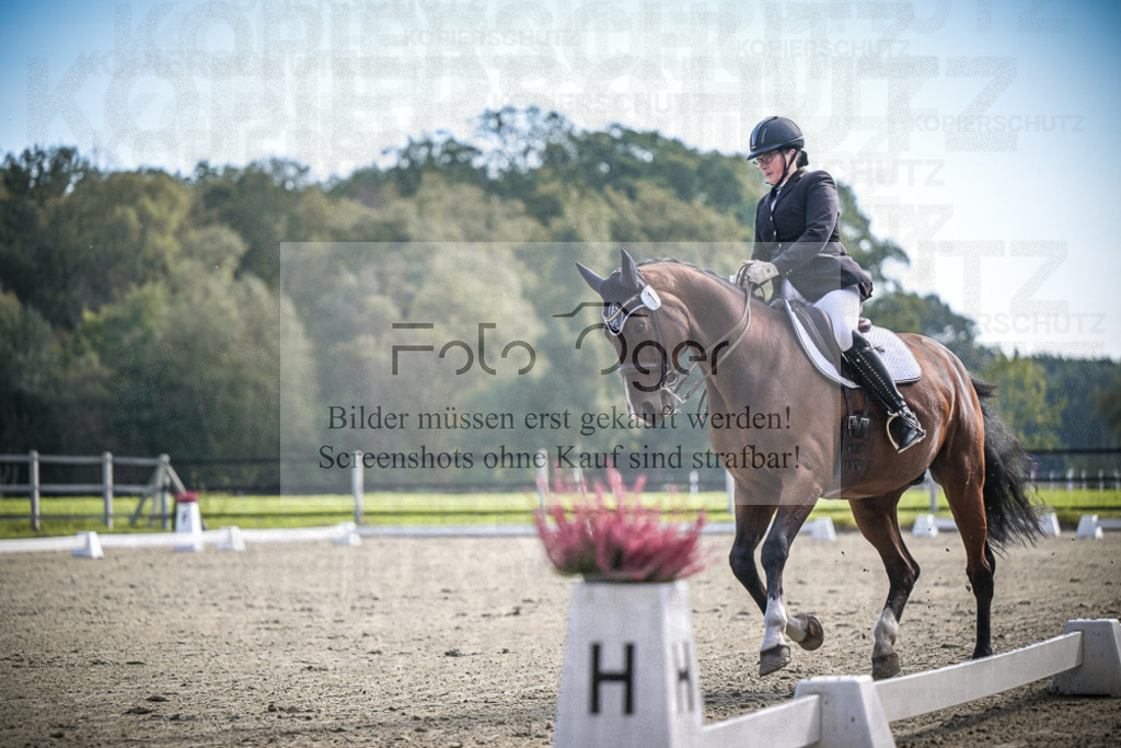 DOS_1013 | Entdecke hochwertige Reitturnierfotos von Foto Oger. Professionell, emotional und authentisch – jetzt Lieblingsmomente im Shop bestellen.Deutschlandweite Turnierfotografie. - Realisiert mit Pictrs.com