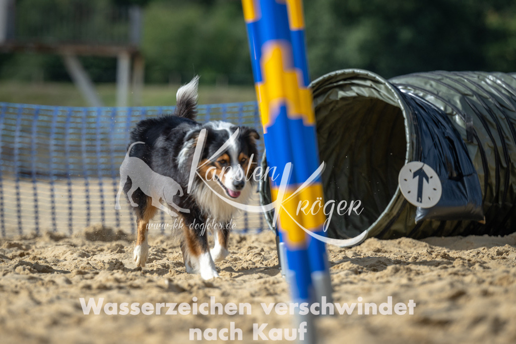 1431_ZZ91477 | kk-dogfotos