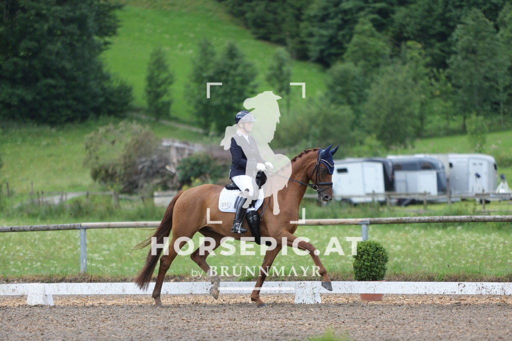 0P6A0137 | Willkommen bei Brunnmayr - Design & Fotografie – Ihrem Spezialisten für Reitturniere und Pferdeveranstaltungen in Oberösterreich, Salzburg und Bayern! Seit über 17 Jahren sind wir leidenschaftlich dabei.