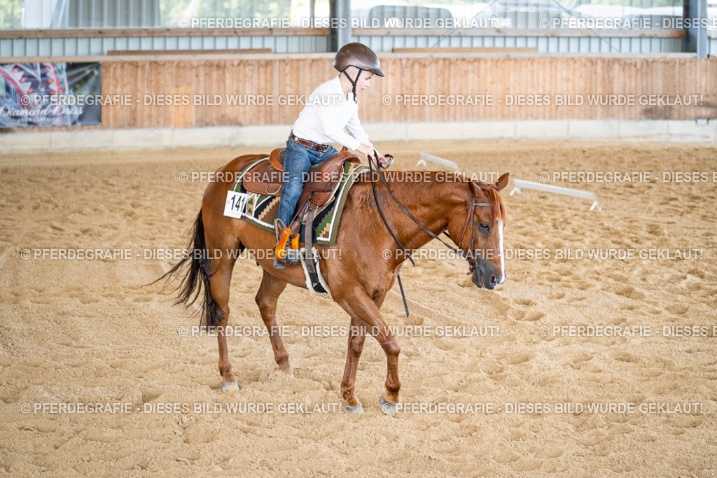 DSC03183 | Pferdegrafie