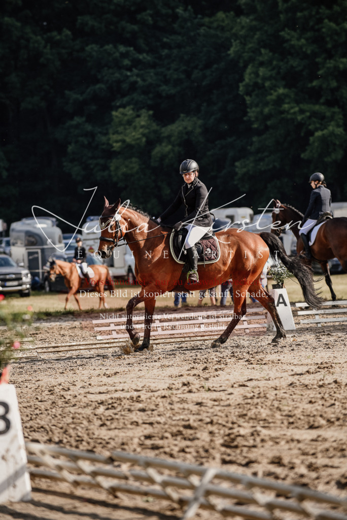 DSC_8519 | Pferde- und Turnierfotografie in Westsachsen. Pferdeportraits, Auftragszeichnungen und intuitive Kunst.