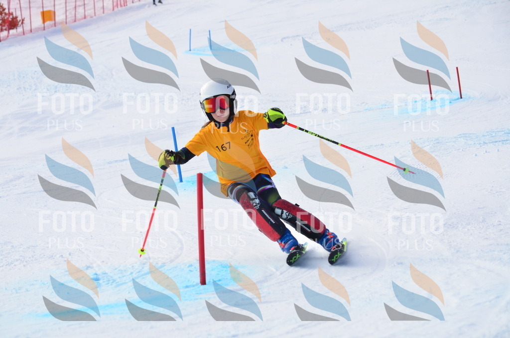 C7875 | holidayphoto