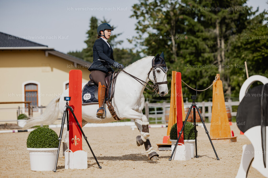 Steffi23_FHC2025-66 | working equitationturnier fotograf videograf stoibphotography marixx film working equitation deutschland reitsport turnierfotografie eventfotografie equestrian events