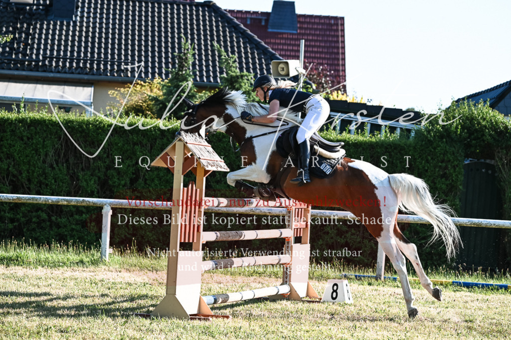 DSC_2866 | Pferde- und Turnierfotografie in Westsachsen. Pferdeportraits, Auftragszeichnungen und intuitive Kunst.