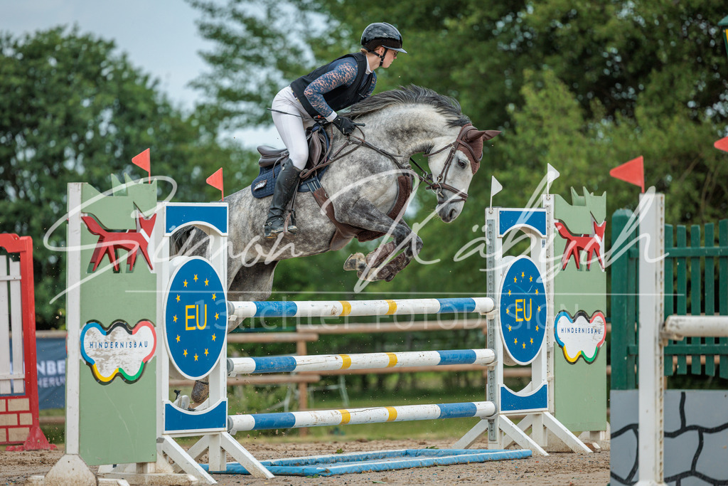 20260530-_3LI2332 | Tierfotografie Pferde, Hunde, Katzen, Haustiere.
Turnierfotografie Reitturniere, Reiten, Springreiten, Dressur in Hanau, dem Main-Kinzig-Kreis und dem Rhein-Main- Gebiet um Frankfurt