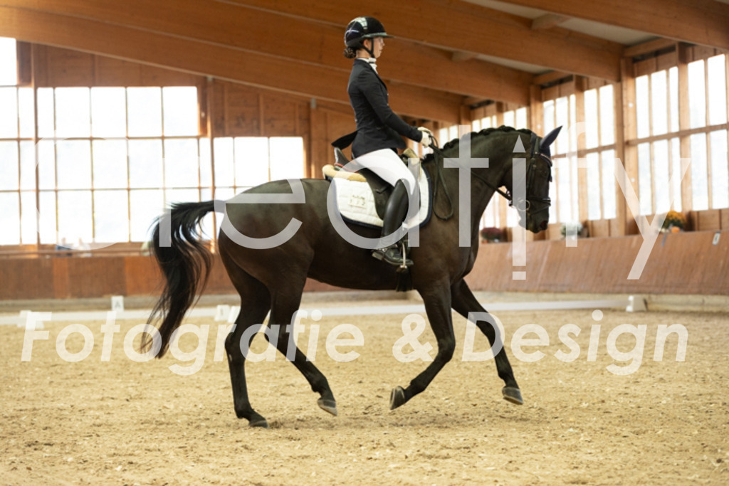 IMG_1937 | Creatify Fotografie