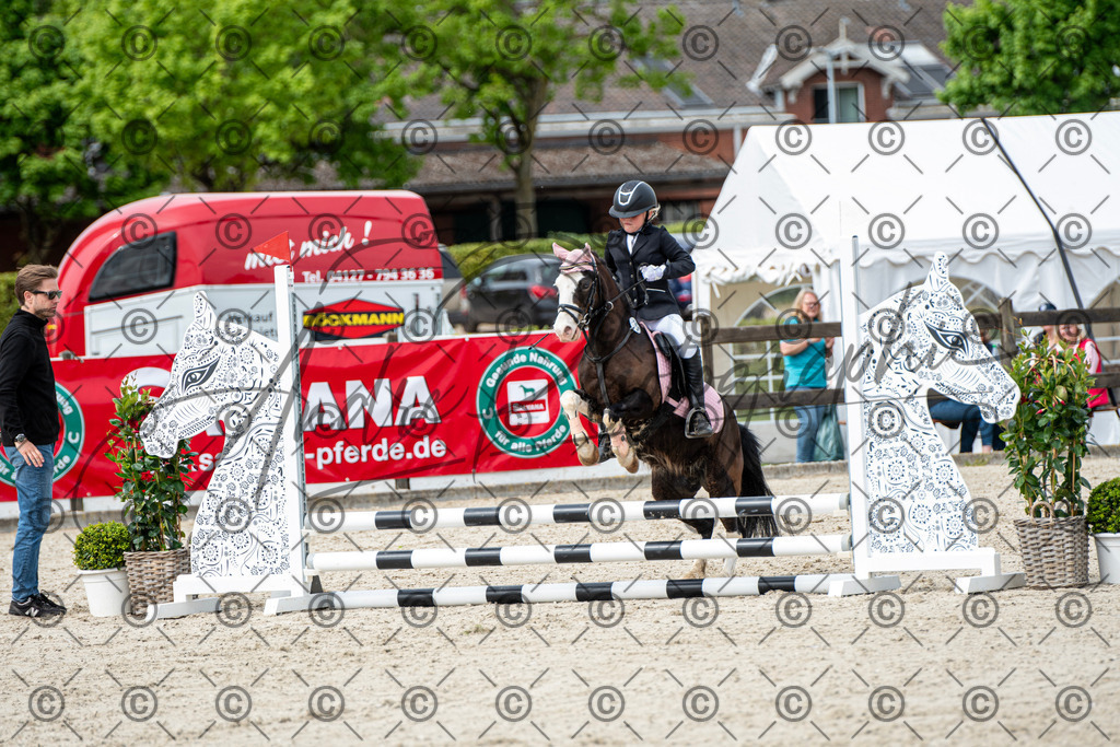 KPT_6103 | andre_photographic