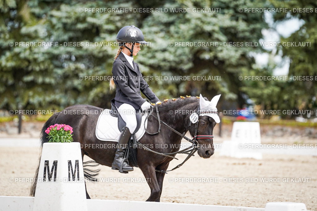 DSC02784 | Pferdegrafie