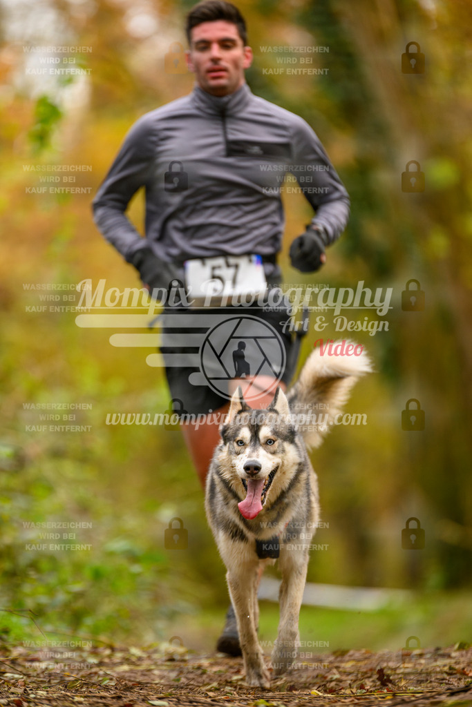 MompixPhotography_Bischwiller24_SA_Canicross-48 | mompixphotography