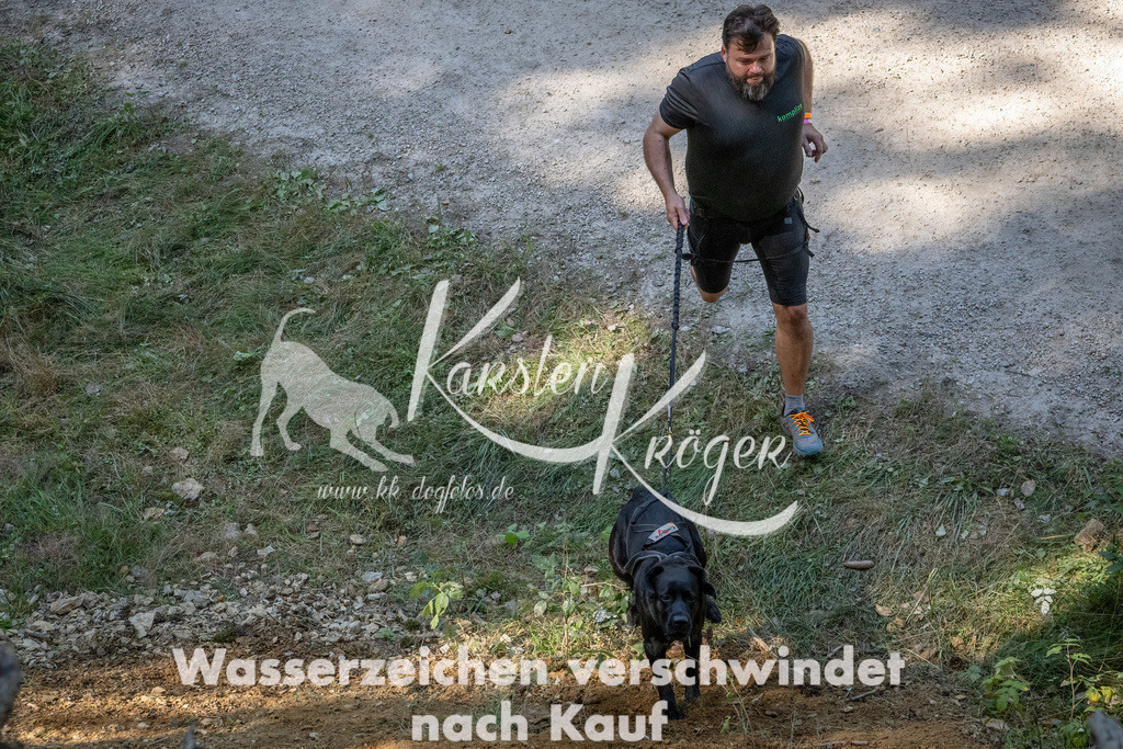 1240_ZZ94774 | kk-dogfotos