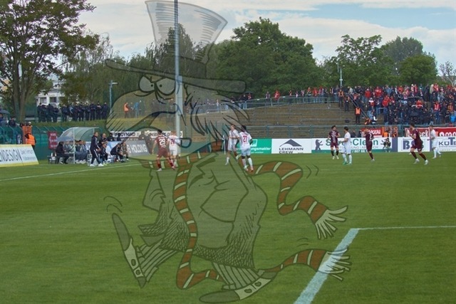 BFC Dynamo vs. FSV Zwickau 054 | mythos-online-redaktion