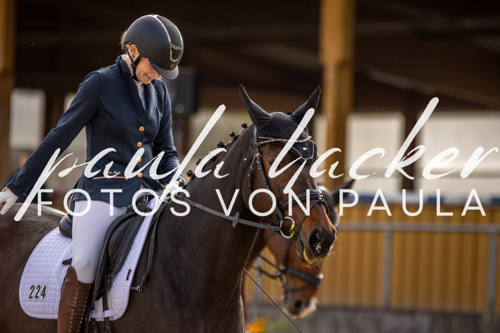 IMG_3312 | Erleben Sie dynamische Sport- und emotionale Tierfotografie in Süddeutschland mit Fotos von Paula. Spezialisiert auf Pferde- und Hundefotografie sowie Sportevents. Kontaktieren Sie mich für einzigartige und ausdrucksstarke Bilder Ihrer besonderen Momente.