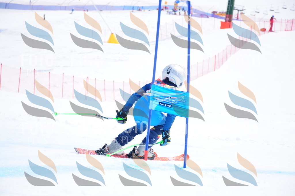 DSC_3224 | holidayphoto