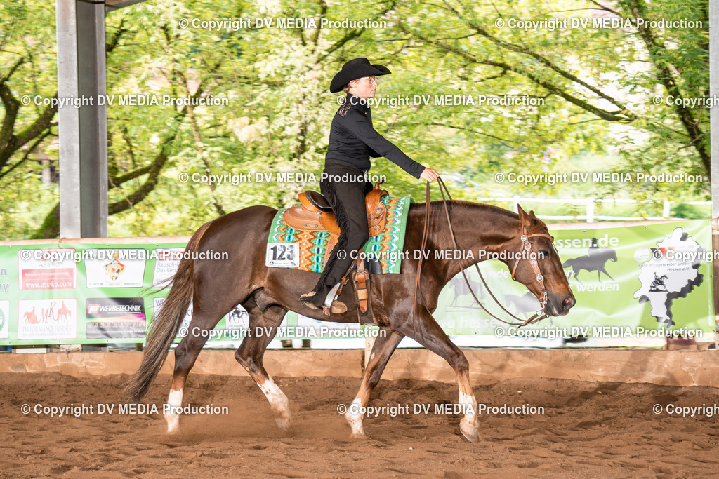 Erbach Tag 4-703 | dv-media-shop - Realisiert mit Pictrs.com