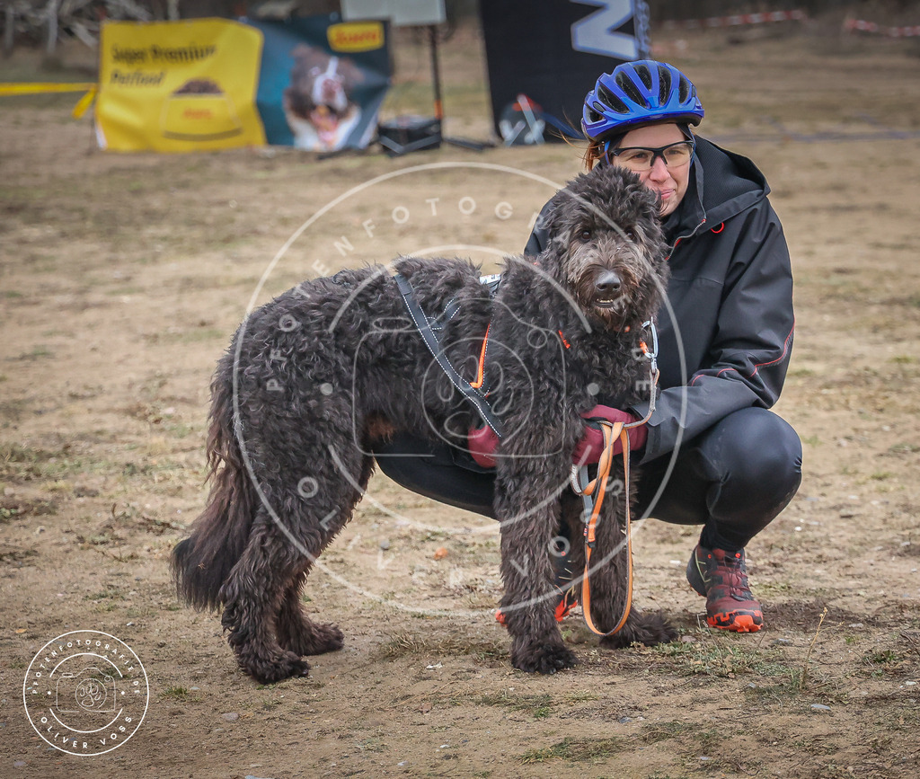 Pfotenfotografie_0L8A2175 | Hundefotografie, Tierfotograf, Pfotenfotografie, Fotoshooting Hund, Hunde Portrait, Hundesport, Hundeportraits, Heideshooting, Hunde, Sportfotograf, Hundefotograf, Turnierhundsport, THS,  - Realisiert mit Pictrs.com