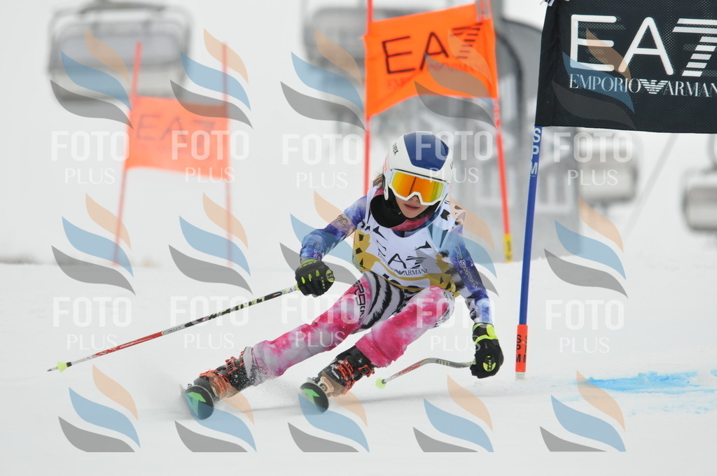 DSC_8332 | holidayphoto