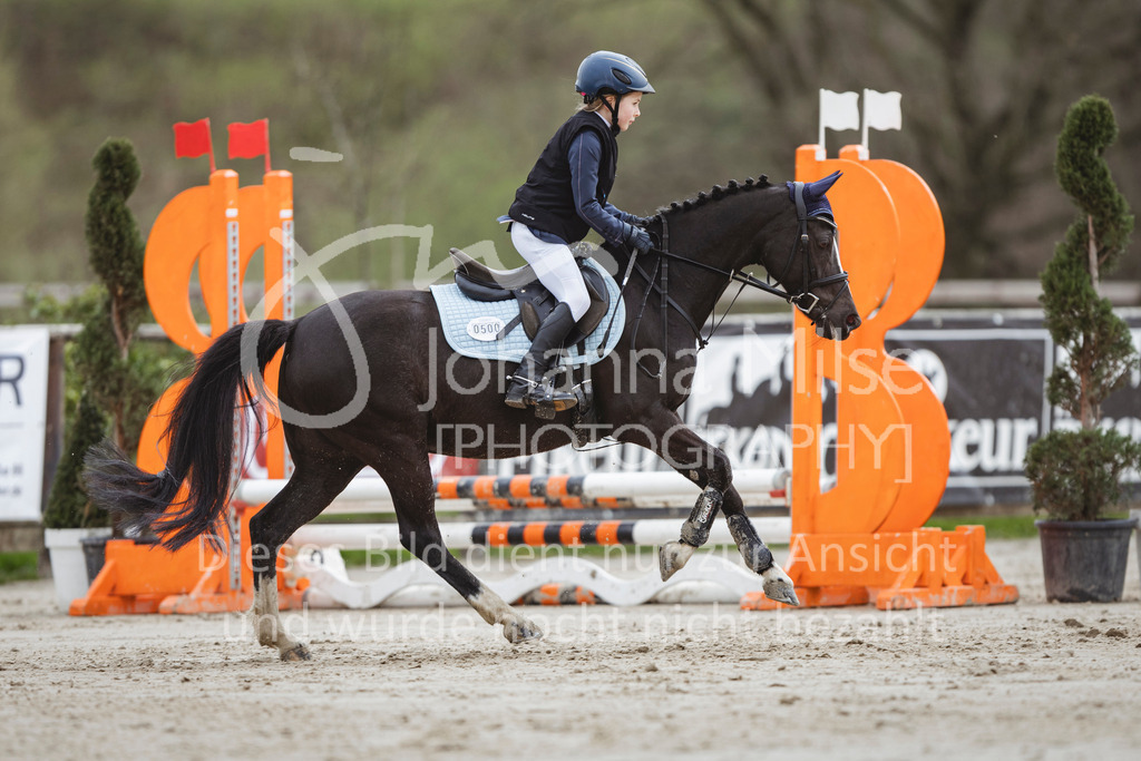 240330_Fruehlingsfest_Stilspring-WB-563 | Deine schönsten Turniermomente als professionelle Fotos! Entdecke hochwertige Pferdesport-Fotografie im Online-Shop. Jetzt Fotos finden & bestellen!