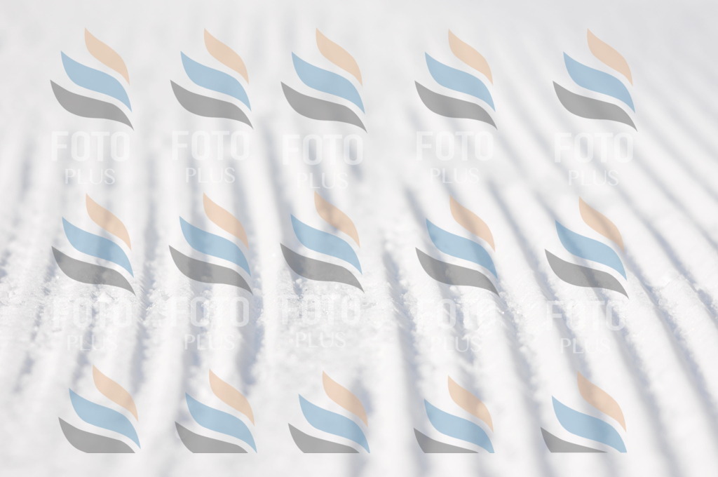 C1811 | holidayphoto