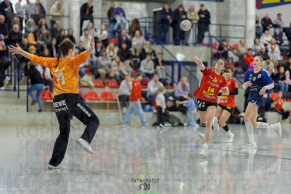 Frauen Regionalliga (HHV); HSG Wettenberg - TV Hüttenberg | Frauen Regionalliga (HHV); HSG Wettenberg - TV Hüttenberg am 06.12.2025 in Launsbach (Wettenberg) (Halle GS Launsbach (Wettenberg))Photo © 2025 - Jörg Heinrich - Realisiert mit Pictrs.com