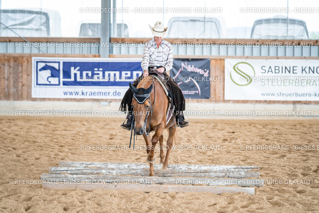 DSC03709 | Pferdegrafie