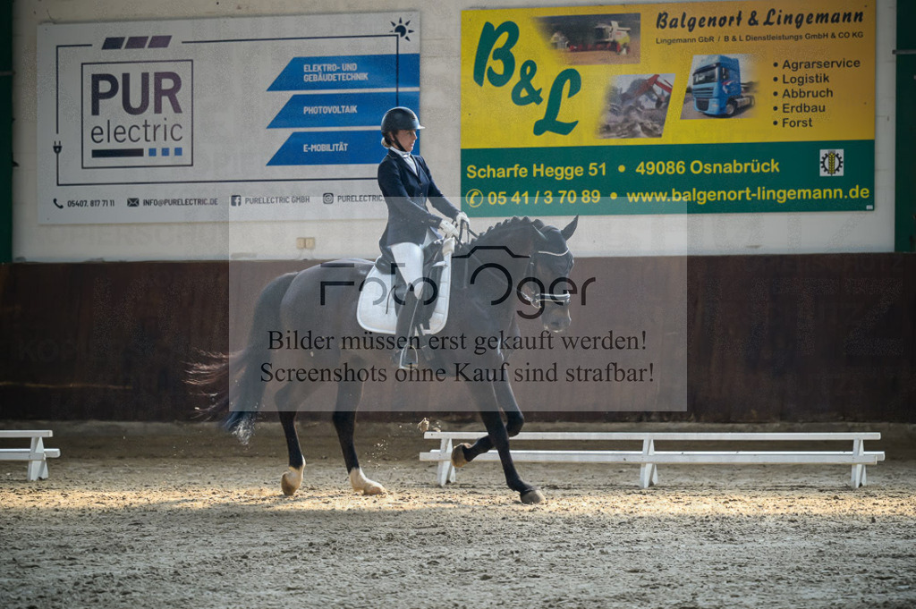 Reitturnier Voxtrup | Entdecke hochwertige Reitturnierfotos von Foto Oger. Professionell, emotional und authentisch – jetzt Lieblingsmomente im Shop bestellen.Deutschlandweite Turnierfotografie. - Realisiert mit Pictrs.com
