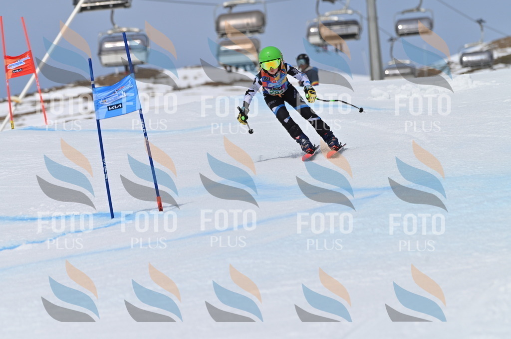 BGV_5874 | holidayphoto