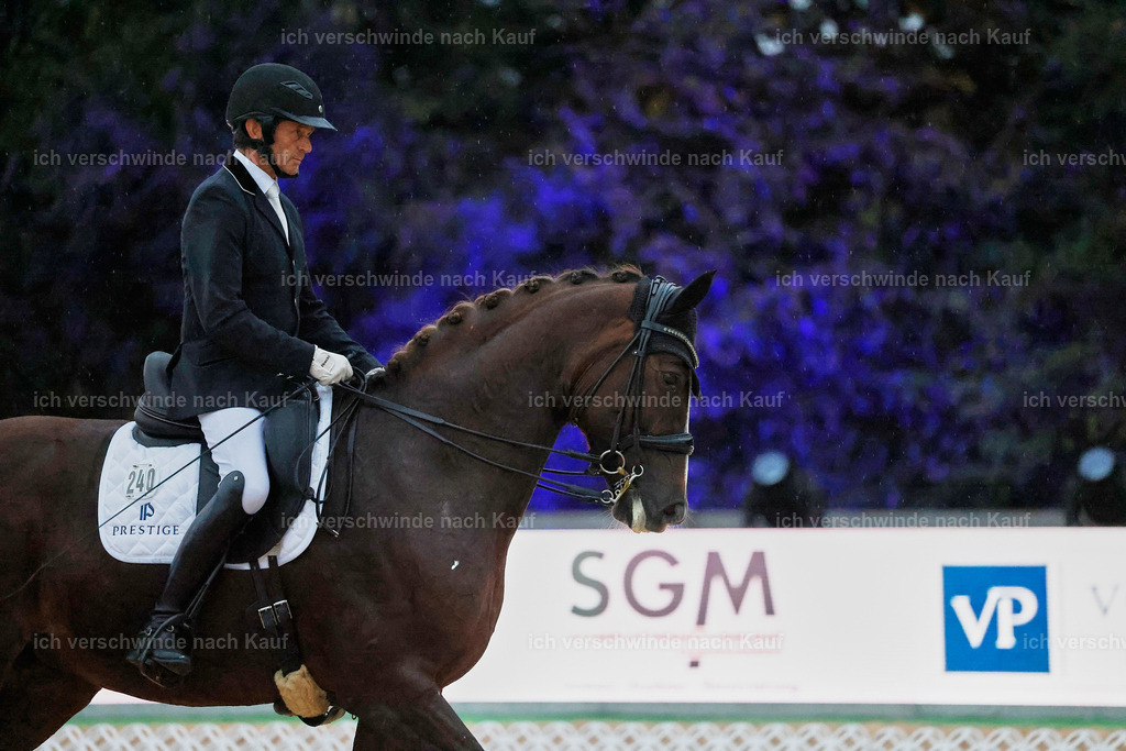 04_2-240-Dressur M__ -StoibPH-3040 | working equitationturnier fotograf videograf stoibphotography marixx film working equitation deutschland reitsport turnierfotografie eventfotografie equestrian events