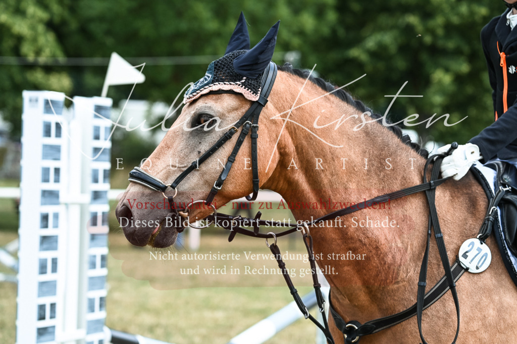 DSC_9701 | Pferde- und Turnierfotografie in Westsachsen. Pferdeportraits, Auftragszeichnungen und intuitive Kunst.
