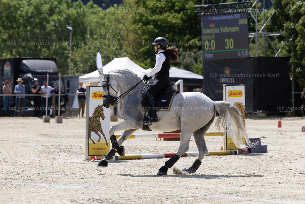 WM_Speed_YR_143_KerstinBernhardt | working equitationturnier fotograf videograf stoibphotography marixx film working equitation deutschland reitsport turnierfotografie eventfotografie equestrian events