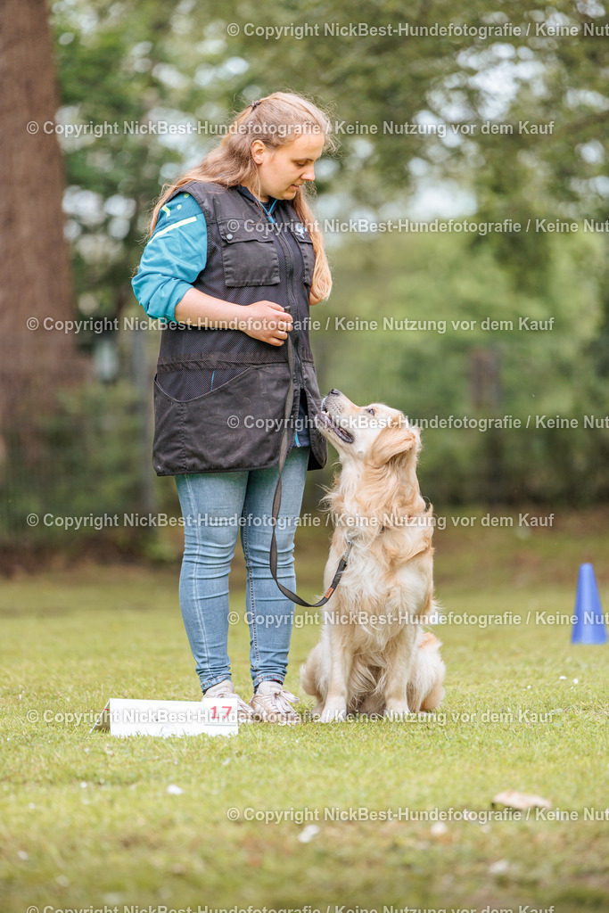 RO-Blumenthal-2026-Nickbest-Hundefotografie-3126 | Dein Hund! Dein Moment! Deine Erinnerungen! Hundefotografie in Bremen Blumenthal. Ich fange die besonderen Momente deines Vierbeiners ein – ob Indoor mit Blitzanlage oder in der freien Natur. Sicher dir dein Moment und dein Termin für eure Erinnerungen.