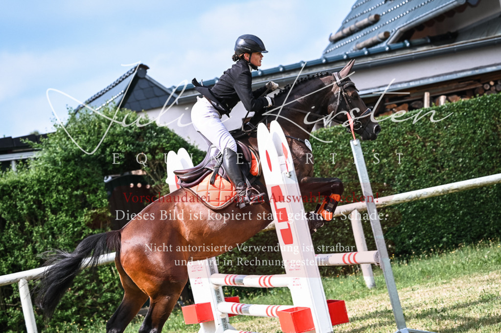 DSC_8302 | Pferde- und Turnierfotografie in Westsachsen. Pferdeportraits, Auftragszeichnungen und intuitive Kunst.