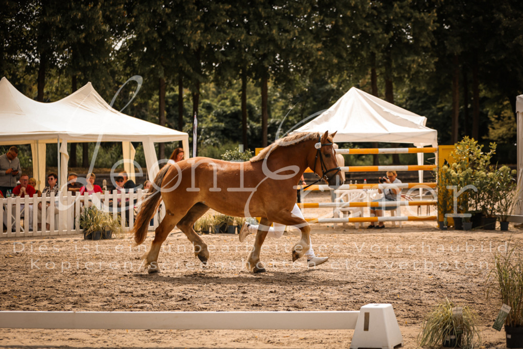 3.Sa00013 | Leoni Ertmer Photography - Realisiert mit Pictrs.com