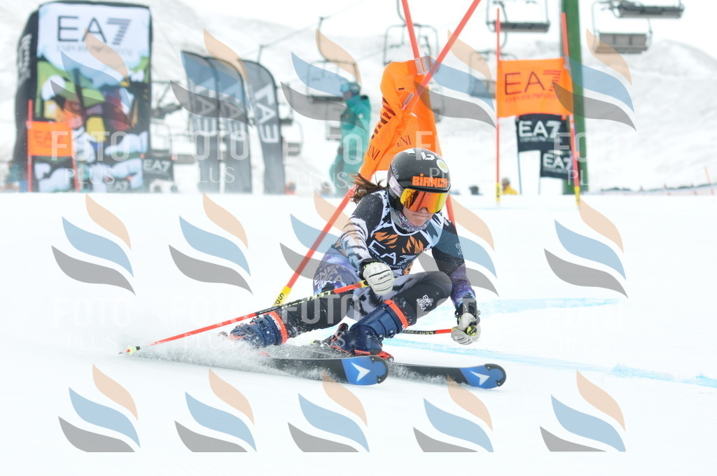 DSC_8806 | holidayphoto