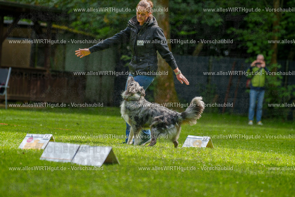 @allesWIRTHgut_Tierfotografie - www.allesWIRTHgut.de - 7R502089 | Professionelle Tierfotografie in Mönchengladbach von Daniel Wirth (allesWIRTHgut). Liebevolle & natürliche Bilder von Hunden & Katzen für unvergessliche Erinnerungen.