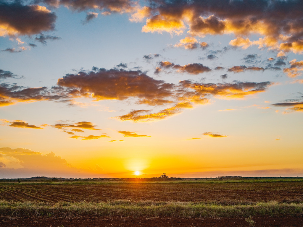 2022CU_sunset_on_the_way-21_4500px_kurze_Kante_PRINT_6002 | PRINTBOX - Realisiert mit Pictrs.com