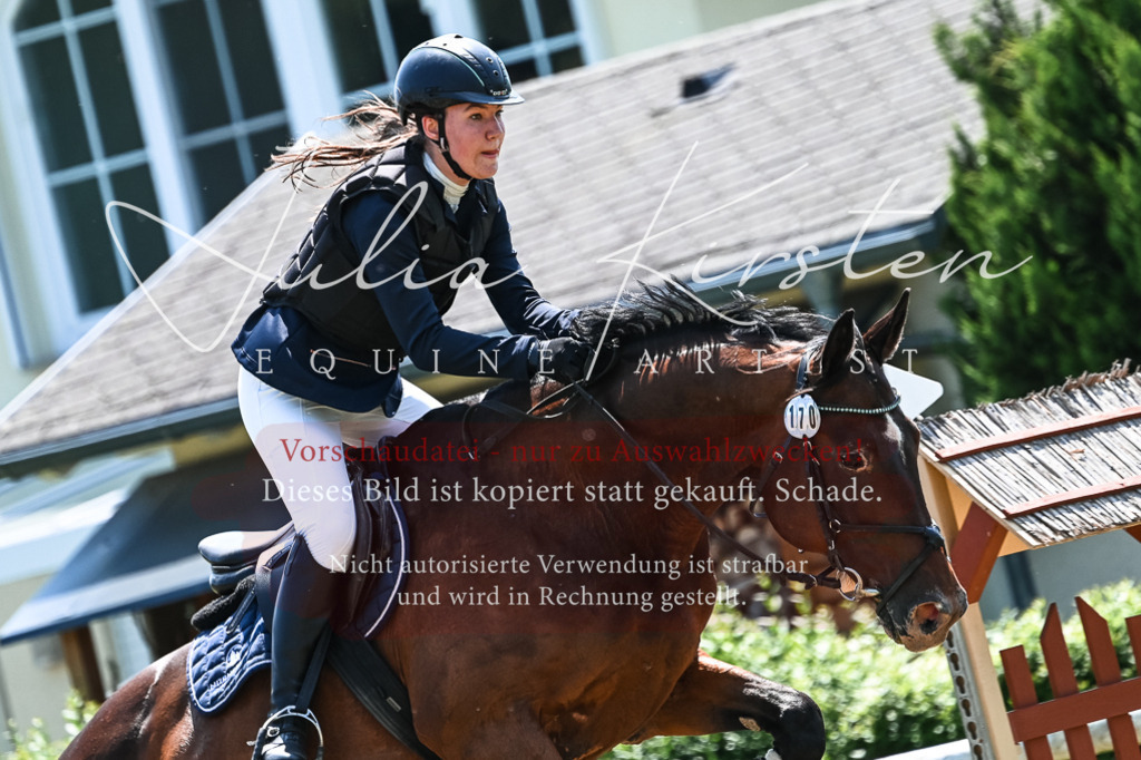 DSC_9976 | Pferde- und Turnierfotografie in Westsachsen. Pferdeportraits, Auftragszeichnungen und intuitive Kunst.