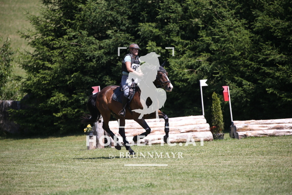 DL2Q1272 | Willkommen bei Brunnmayr - Design & Fotografie – Ihrem Spezialisten für Reitturniere und Pferdeveranstaltungen in Oberösterreich, Salzburg und Bayern! Seit über 17 Jahren sind wir leidenschaftlich dabei.