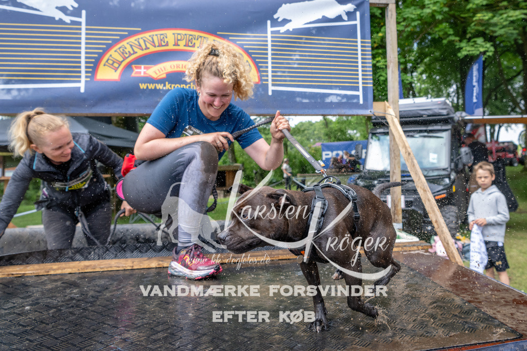 1029_ZZ90875 | kk-dogfotos